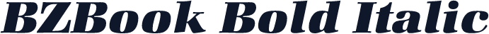 BZBook Bold Italic