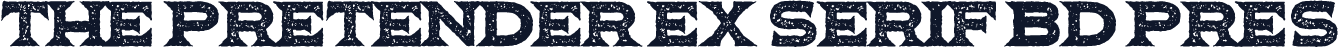 The Pretender Ex Serif Bd Pres