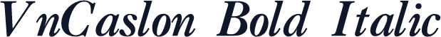 VnCaslon Bold Italic