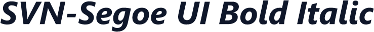 SVN-Segoe UI Bold Italic