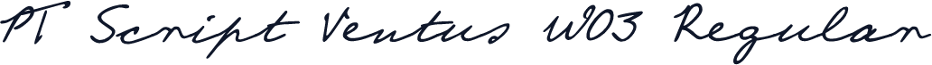 PT Script Ventus W03 Regular