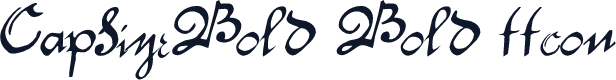 CapSizeBold Bold ttcon