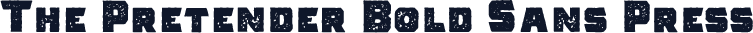 The Pretender Bold Sans Press
