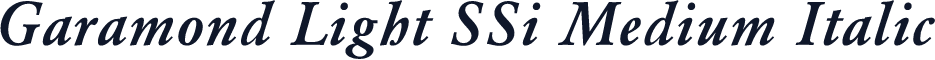 Garamond Light SSi Medium Italic