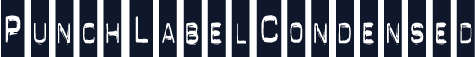 PunchLabelCondensed