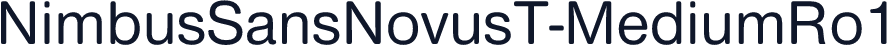 NimbusSansNovusT-MediumRo1