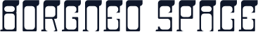 Borgneo Space