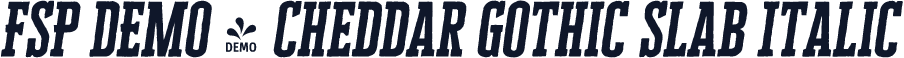 FSP DEMO - Cheddar Gothic Slab Italic