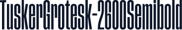 TuskerGrotesk-2600Semibold