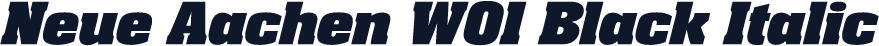 Neue Aachen W01 Black Italic