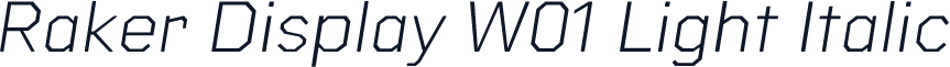 Raker Display W01 Light Italic