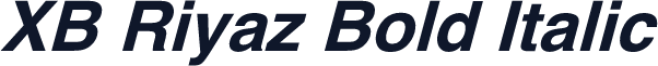 XB Riyaz Bold Italic