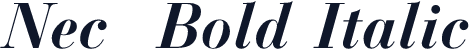 Nec  Bold Italic