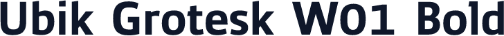 Ubik Grotesk W01 Bold