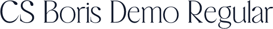 CS Boris Demo Regular