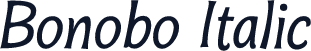 Bonobo Italic