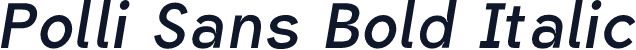 Polli Sans Bold Italic