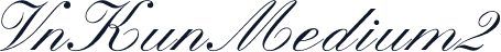 VnKunMedium2