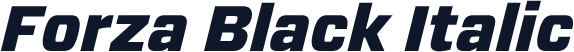 Forza Black Italic
