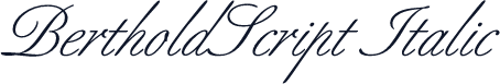 BertholdScript Italic