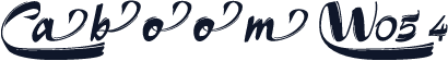 Caboom W05 4