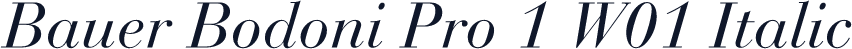 Bauer Bodoni Pro 1 W01 Italic