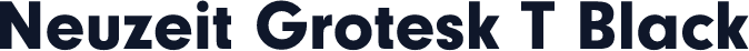 Neuzeit Grotesk T Black