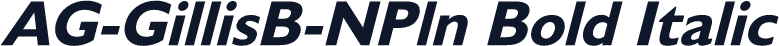 AG-GillisB-NPln Bold Italic