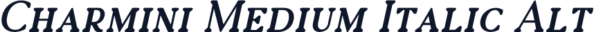 Charmini Medium Italic Alt