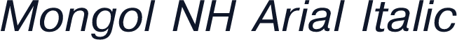 Mongol NH Arial Italic