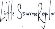 Little SparrowRegular