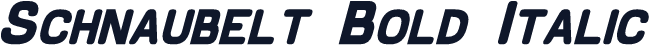 Schnaubelt Bold Italic