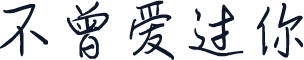 不曾爱过你