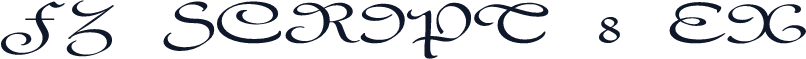 FZ SCRIPT 8 EX