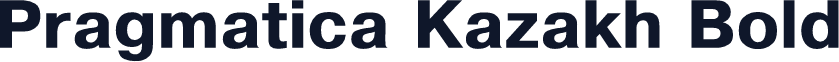 Pragmatica Kazakh Bold