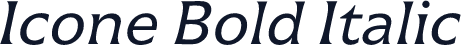 Icone Bold Italic