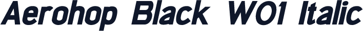 Aerohop Black W01 Italic