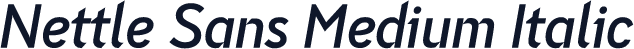 Nettle Sans Medium Italic