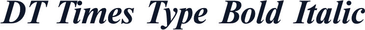 DT Times Type Bold Italic