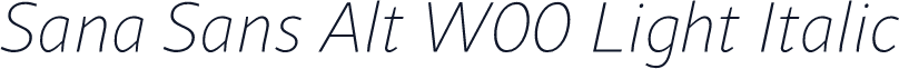 Sana Sans Alt W00 Light Italic