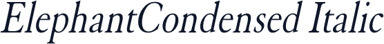 ElephantCondensed Italic