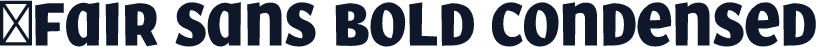 ☞Fair Sans Bold Condensed