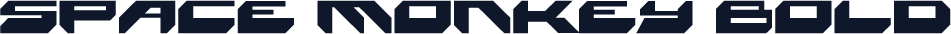 Space Monkey Bold