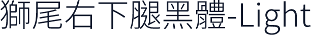 獅尾右下腿黑體-Light