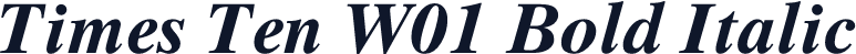 Times Ten W01 Bold Italic