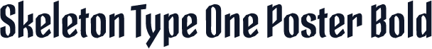 Skeleton Type One Poster Bold