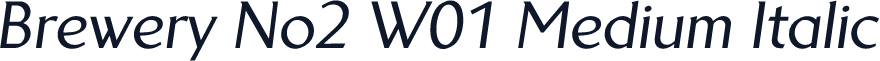 Brewery No2 W01 Medium Italic