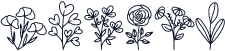Botani