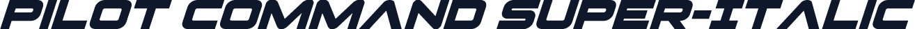 Pilot Command Super-Italic
