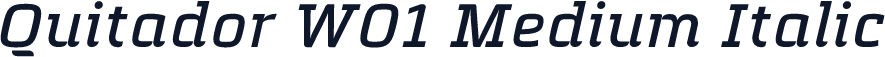 Quitador W01 Medium Italic